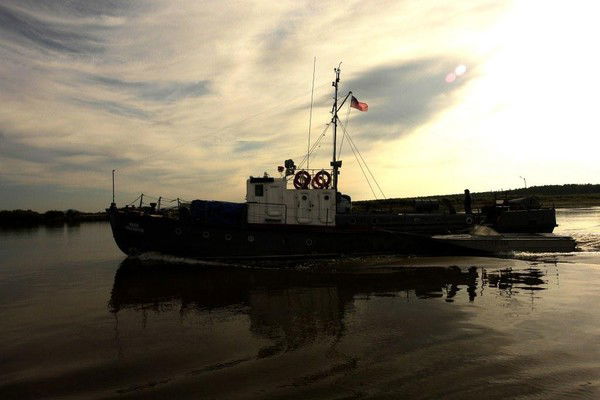 Елена Петрова