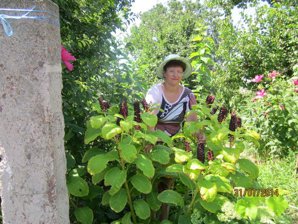 Светлячок .