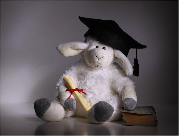 Евгения Белова