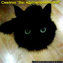 Ирина Я