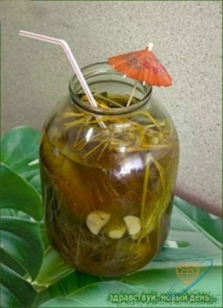 Фицджеральд Циммершухер