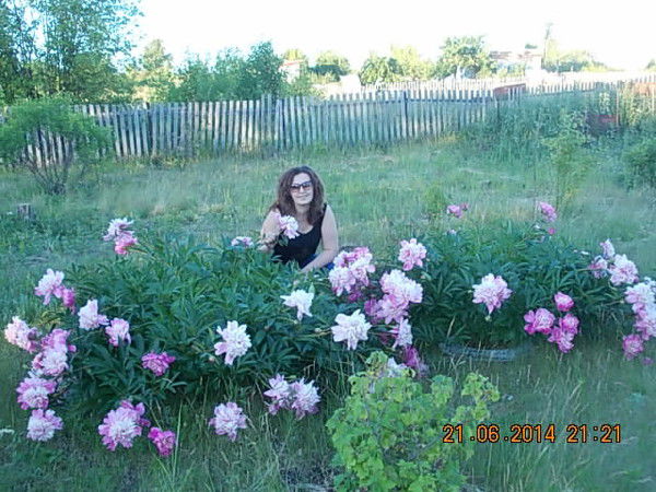 Марина Анер