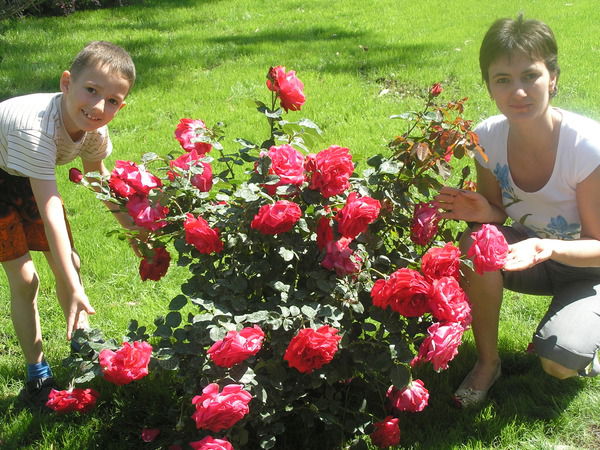 Альбина Вильданова