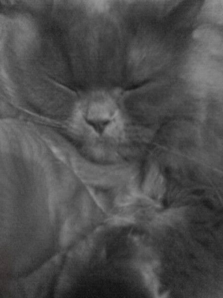 Александр Лянной