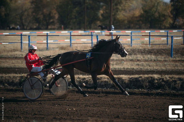 Татьяна Елистратова