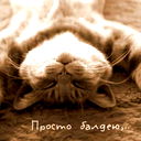 Наталья Дулепова