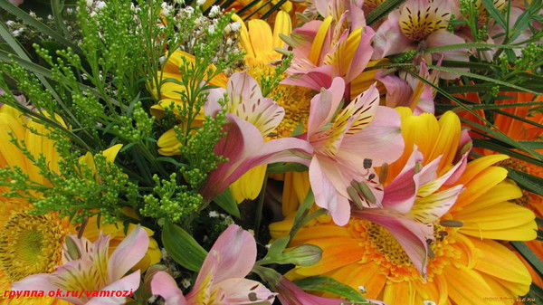 Лилия Тюлюшева