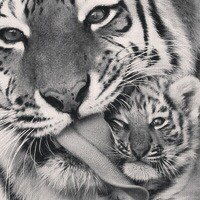 Алена Николаева