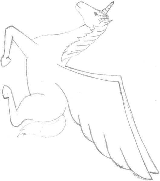 Вячеслав Соколов