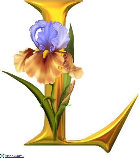 Тернополь Лаборатория