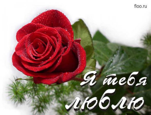 Еленочка ***********