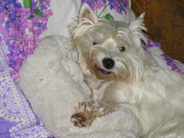 Валентина Климова