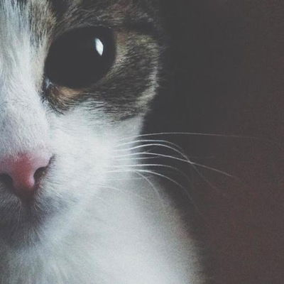 Александра Данилова