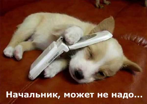 Аполон Космодемьянский