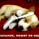 Аполон Космодемьянский