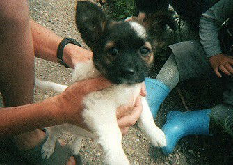 Люда Калашникова