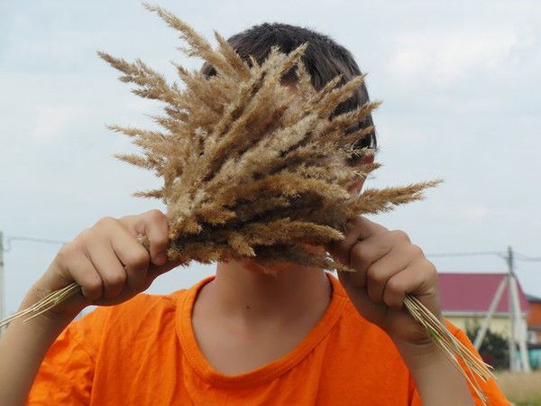 Даня Нестеров