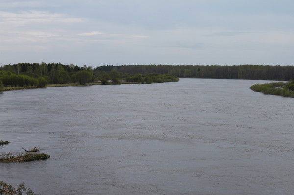 Диана Кравцова