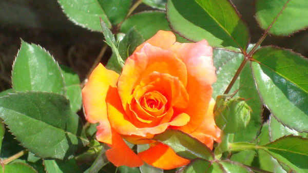 Татьяна Кургузова