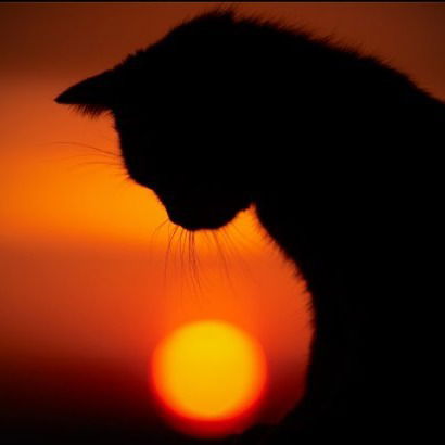 Анютка Бурлачук