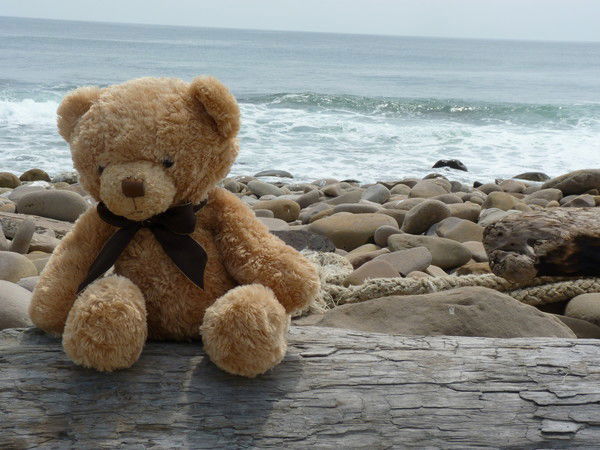 Анастасия Изусина