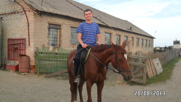 Дмитрий Шевцов