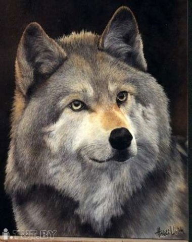 Станислав Семенов