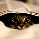 Саша Шевченко