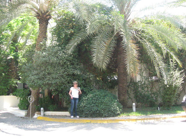 Татьяна Никитина