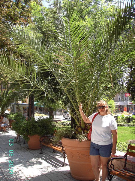 Гореница Юлия