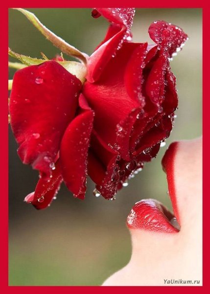 Гульнар Жайыкбаева