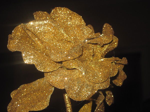 Наташа Лебедева