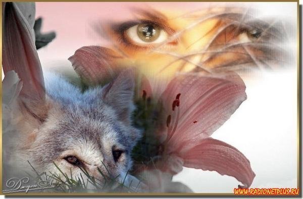 Иринка Иринка