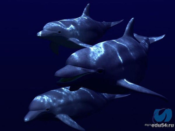 Юлия И Евгений Зуевы