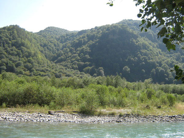 Вика Тендит