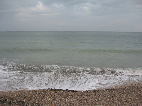 Никита Шепетюк