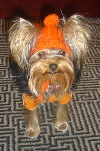 Михаил Биязров