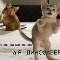 Ярослав Булавка