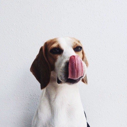 Г. Владимир Ул. Балакирева 26А