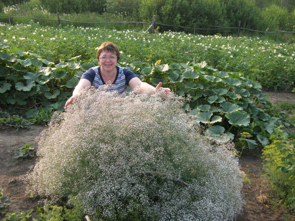 Людмила Добрых