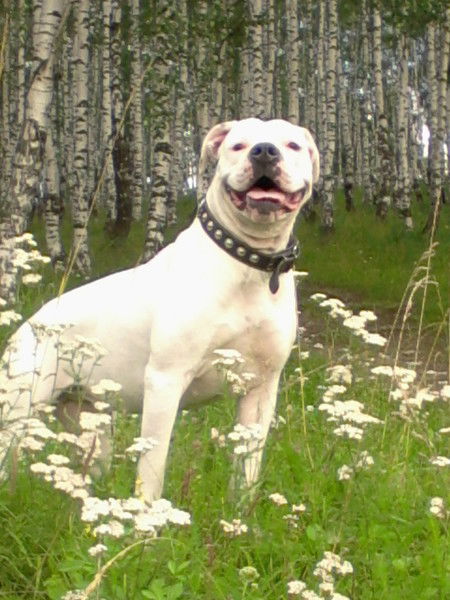 Ирина Борисова