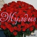 Жулдыз Саукимова