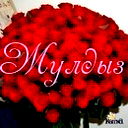 Жулдыз Саукимова