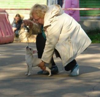 Марта Вишневская