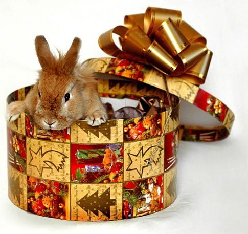 Оксана Андрюшина