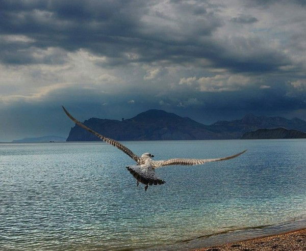 Александр Буланов