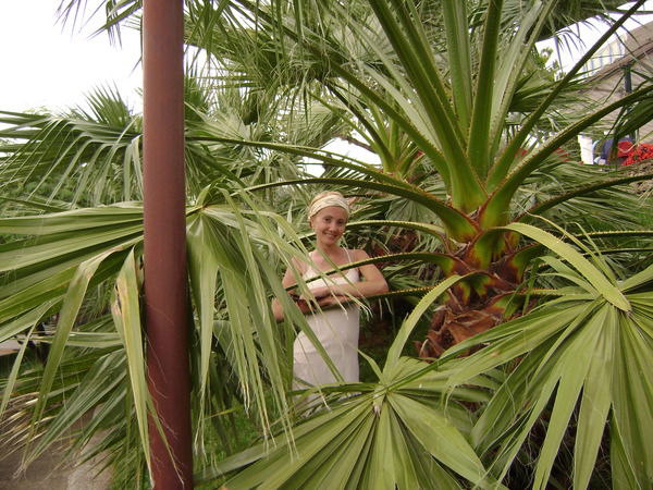 Елена Довгань