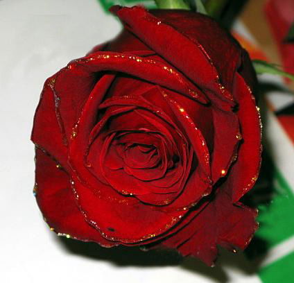 Ислам Аалиев