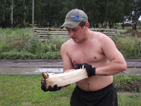 Панфилов Никита