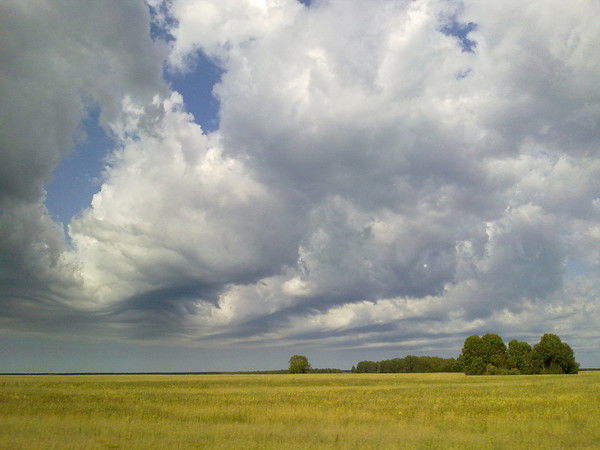 Наталия Лукина
